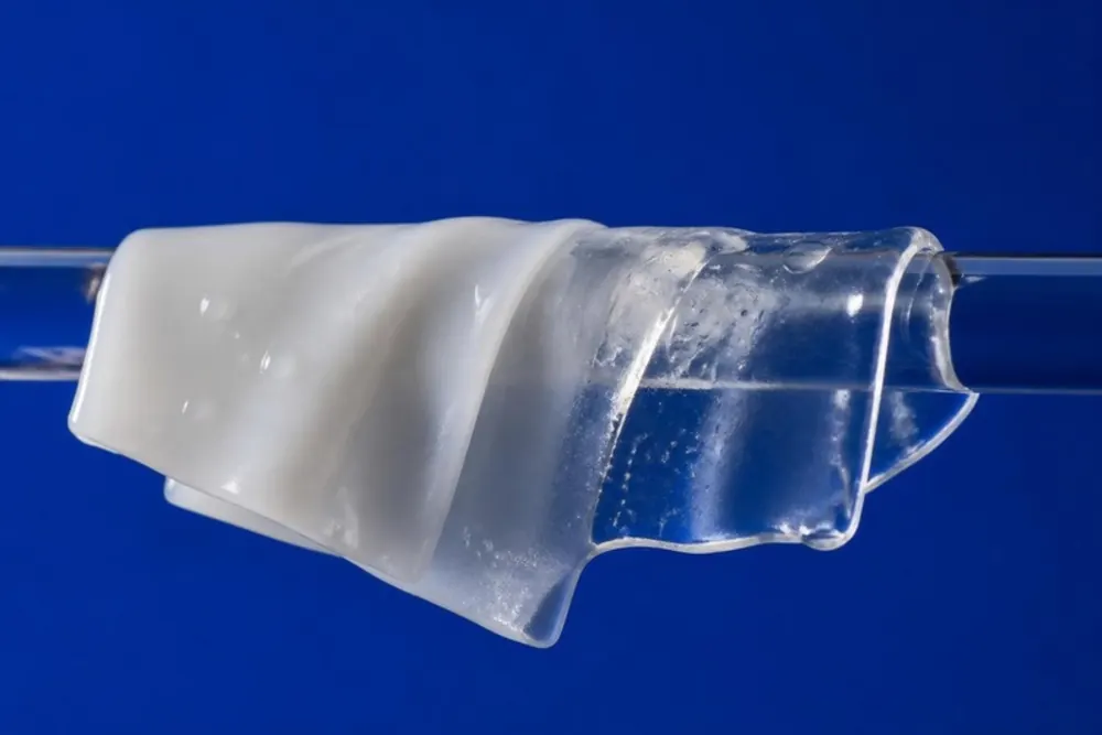 Lámina de hidrogel plegada sobre una varilla de vidrio, con una mitad blanca lechosa y la otra transparente, sobre fondo azul cobalto