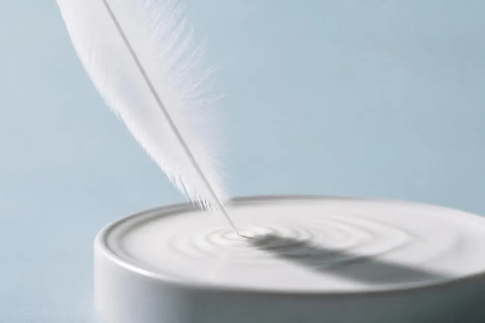 La punta de una pluma blanca roza la superficie de una crema y forma una onda suave, sobre un fondo azul grisáceo pálido.